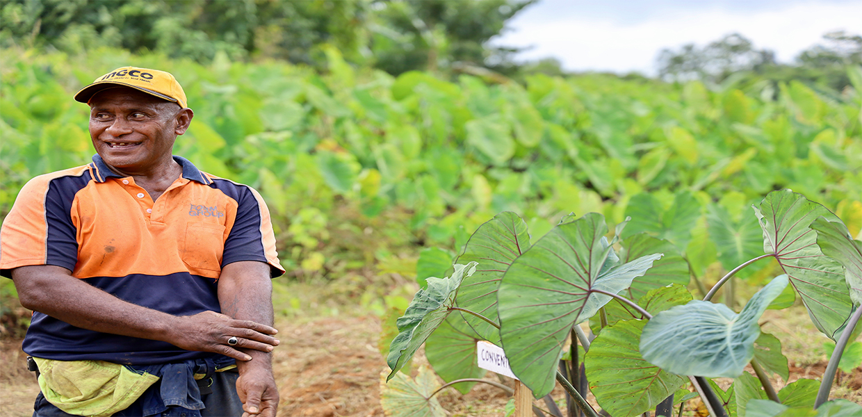 hero Disaster Risk Financing Technical Working Group